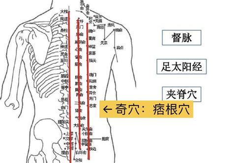 消積穴|倪海厦：判断肿瘤的奇穴——消积穴